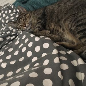 Meet your Posher, Addison